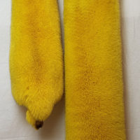 blue fox dyed yellow