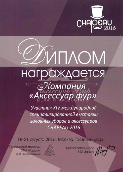 диплом шапо2016