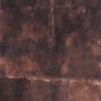 коричневый 19-0912