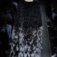 Haute Fourrure Collection Silver moon
