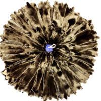 Black metallized mink