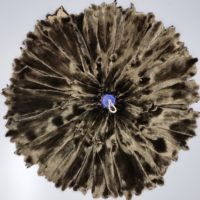 Black metallized mink
