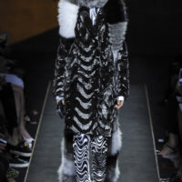 Haute Fourrure Collection Silver moon